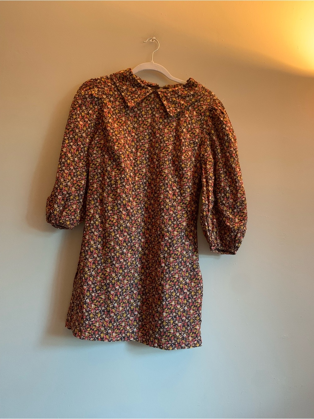 Free People Fall Dress Mini Long Puffed Sleeve 6 Women Peter Pan Collar Brown